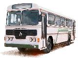 Ashok Leyland Viking  Bus For Rent.