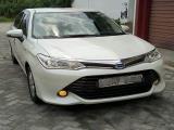 Toyota Axio NZE144 Car For Rent.