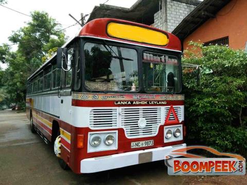 Ashok Leyland Viking NC XXX Bus For Rent