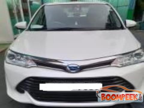 Toyota Axio  Car For Rent