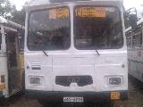 1996 TATA 1313 62 6748 Bus For Sale.