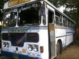 2010 Ashok Leyland Viking  Bus For Sale.