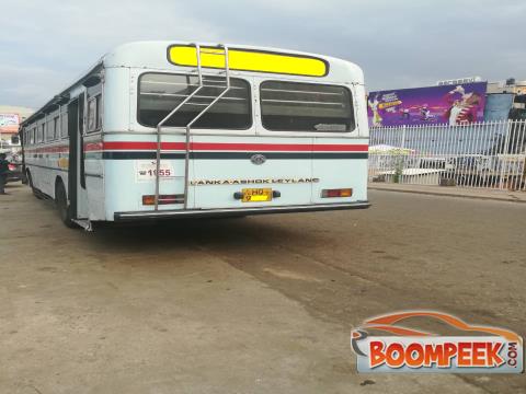 Ashok Leyland Viking Ruby 52 Seater Bus For Sale