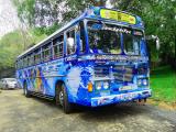 2011 Ashok Leyland Viking 1 Bus For Sale.