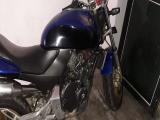 2006 Honda -  Hornet 250 Chassi 105 Motorcycle For Sale.